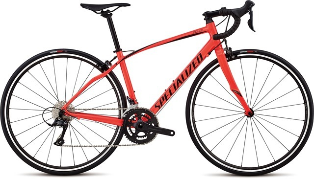 2019 Specialized Road Bike Guide